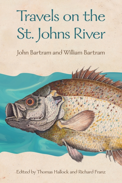 Travels on the St. Johns River, Paperback / softback Book