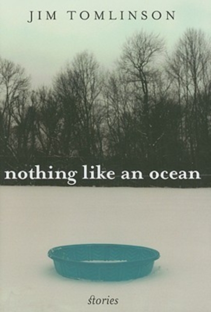 Nothing Like an Ocean : Stories, Hardback Book