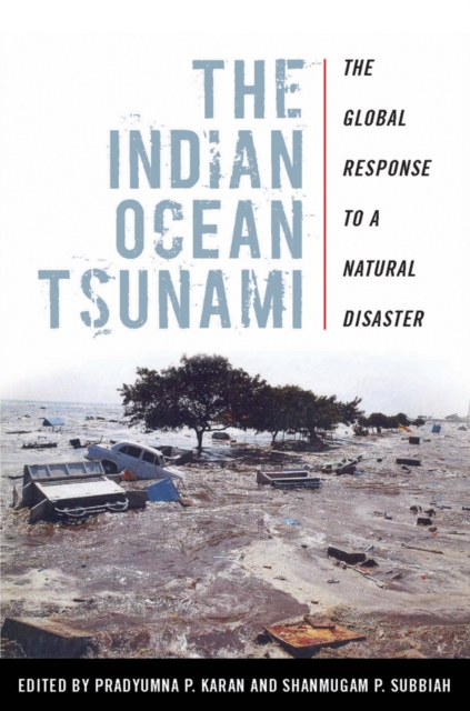 The Indian Ocean Tsunami : The Global Response to a Natural Disaster, EPUB eBook