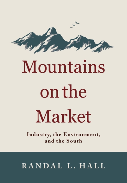Mountains on the Market : Industry, the Environment, and the South, EPUB eBook