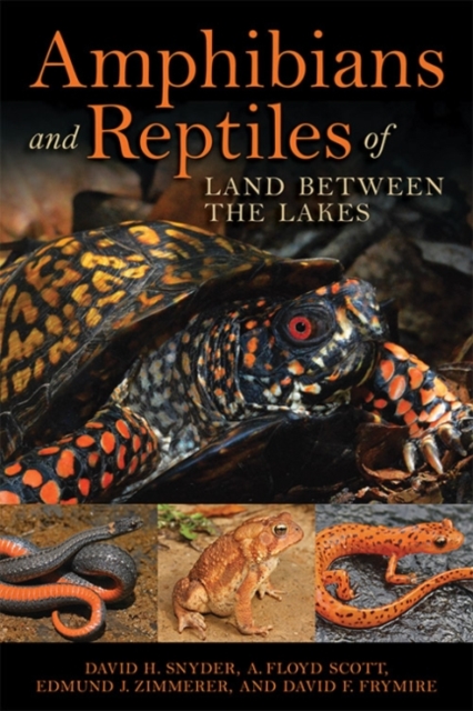 Amphibians and Reptiles of Land Between the Lakes, Paperback / softback Book