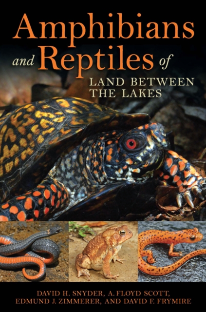 Amphibians and Reptiles of Land Between the Lakes, PDF eBook