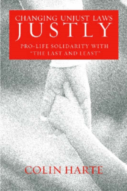 Changing Unjust Laws Justly : Pro-life Solidarity with the Last and Least, Hardback Book