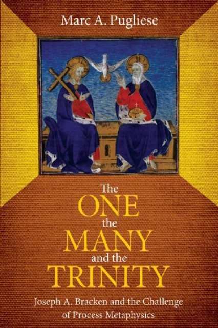 The One, the Many and the Trinity : Joseph A. Bracken and the Challenge of Process Metaphysics, Hardback Book