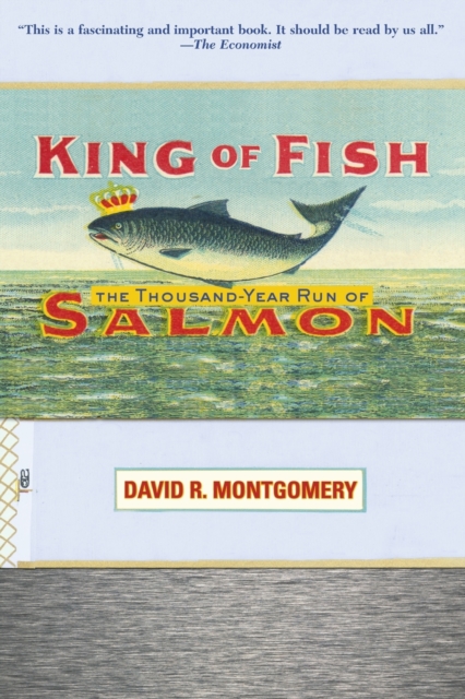 King of Fish : The Thousand-Year Run of Salmon, Paperback / softback Book