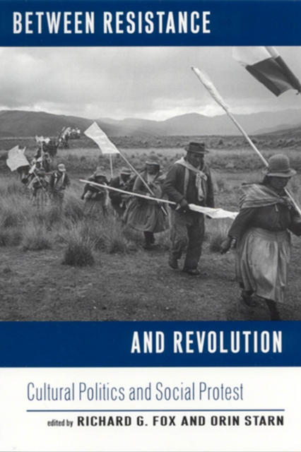 Between Resistance and Revolution : Cultural Politics and Social Protest, Paperback / softback Book