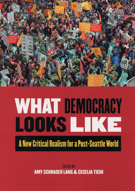 What Democracy Looks Like : A New Critical Realism for a Post-Seattle World, Paperback / softback Book