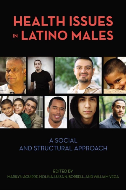Health Issues in Latino Males : A Social and Structural Approach, Paperback / softback Book