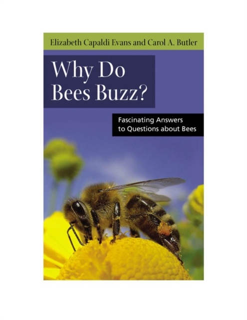 Why Do Bees Buzz? : Fascinating Answers to Questions about Bees, Paperback / softback Book