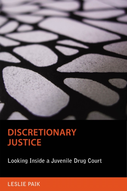 Discretionary Justice : Looking Inside a Juvenile Drug Court, Hardback Book
