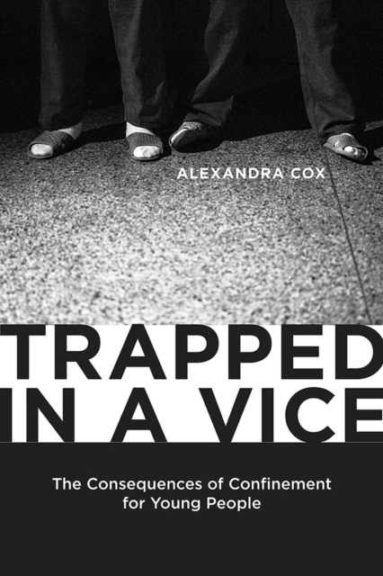 Trapped in a Vice : The Consequences of Confinement for Young People, Paperback / softback Book