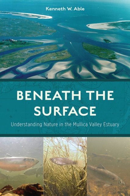 Beneath the Surface : Understanding Nature in the Mullica Valley Estuary, Paperback / softback Book