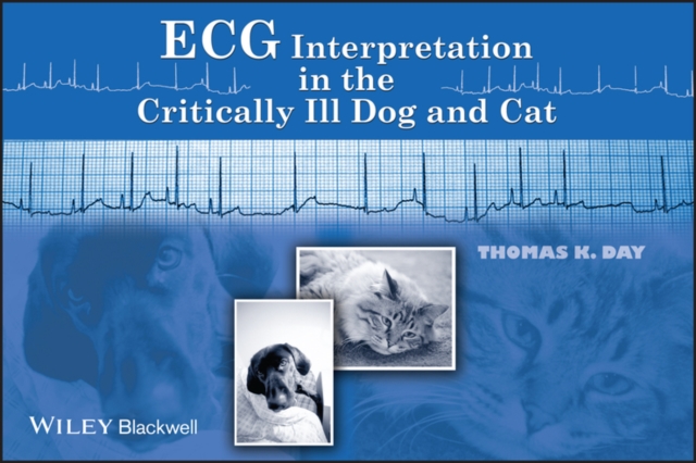 ECG Interpretation in the Critically Ill Dog and Cat, Paperback / softback Book