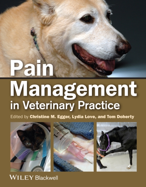 Pain Management in Veterinary Practice, Paperback / softback Book