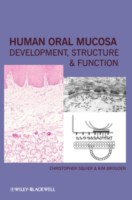 Human Oral Mucosa : Development, Structure and Function, Hardback Book