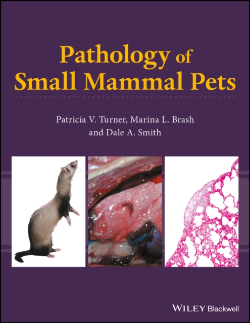 Pathology of Small Mammal Pets, Hardback Book