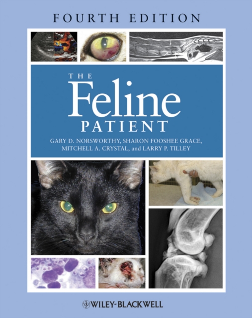 The Feline Patient, Hardback Book