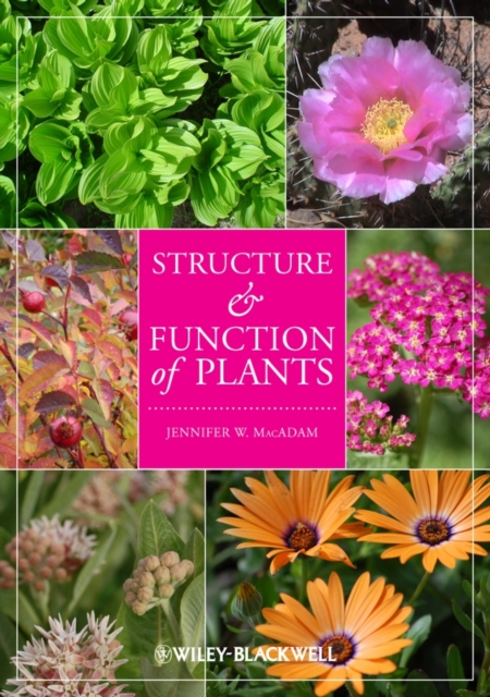 Structure and Function of Plants, Paperback / softback Book