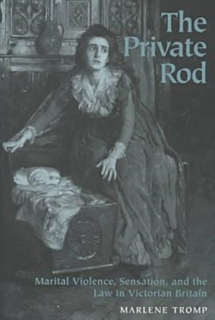 The Private Rod : Marital Violence, Sensation and the Law in Victorian Britain, Hardback Book