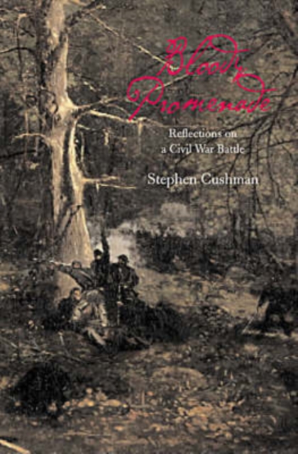 Bloody Promenade : Reflections on a Civil War Battle, Paperback / softback Book