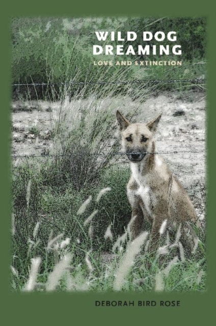 Wild Dog Dreaming : Love and Extinction, Hardback Book