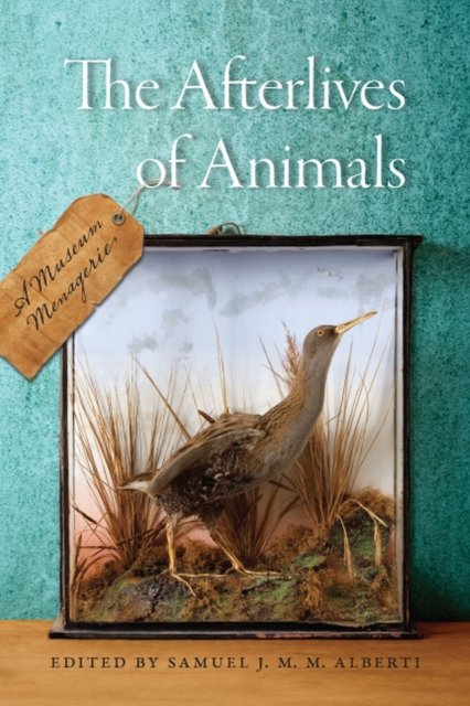 The Afterlives of Animals : A Museum Menagerie, Hardback Book