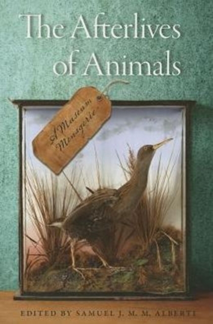 The Afterlives of Animals : A Museum Menagerie, Paperback / softback Book