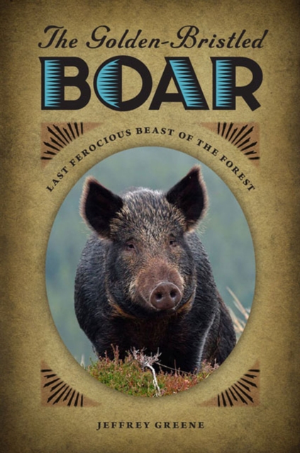 The Golden-Bristled Boar : Last Ferocious Beast of the Forest, Paperback / softback Book