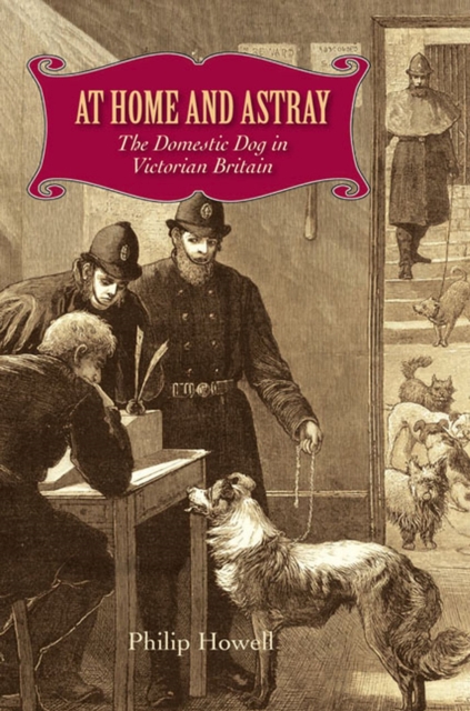 At Home and Astray : The Domestic Dog in Victorian Britain, Hardback Book