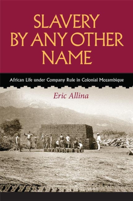 Slavery by Any Other Name : African Life under Company Rule in Colonial Mozambique, Paperback / softback Book