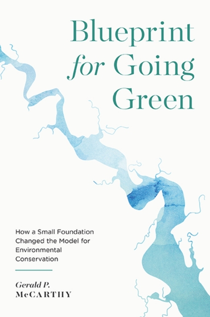 Blueprint for Going Green : How a Small Foundation Changed the Model for Environmental Conservation, Paperback / softback Book
