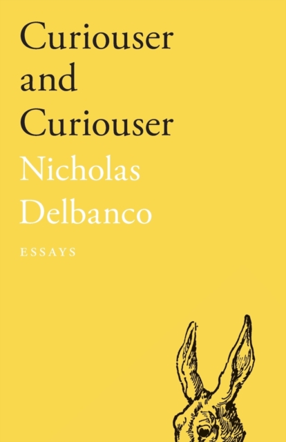 Curiouser and Curiouser : Essays, Paperback / softback Book