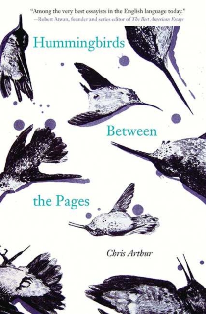 Hummingbirds Between the Pages, Paperback / softback Book