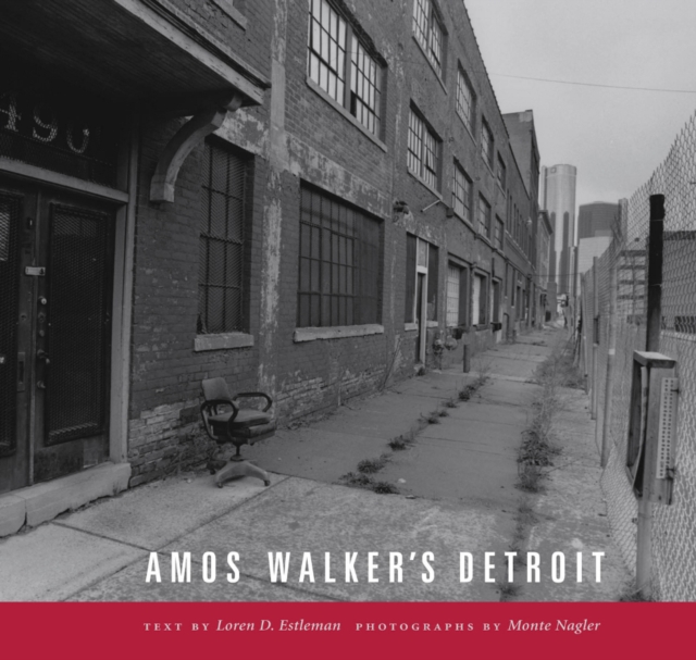 Amos Walker's Detroit, EPUB eBook