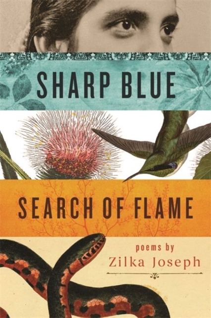 Sharp Blue Search of Flame, Paperback / softback Book