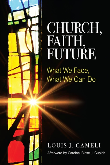 Church, Faith, Future : What We Face, What We Can Do, Paperback / softback Book