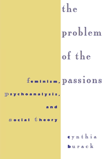 The Problem of the Passions : Feminism, Psychoanalysis, and Social Theory, Paperback / softback Book