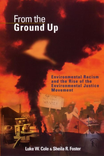 From the Ground Up : Environmental Racism and the Rise of the Environmental Justice Movement, Hardback Book