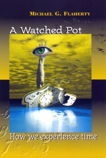 A Watched Pot : How We Experience Time, Paperback / softback Book