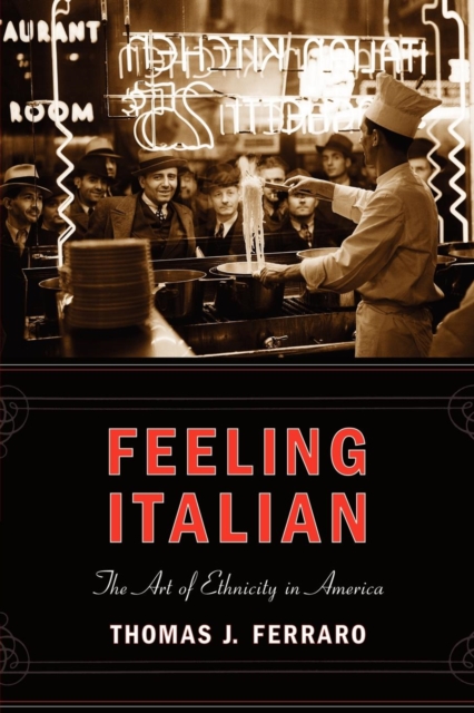 Feeling Italian : The Art of Ethnicity in America, Hardback Book