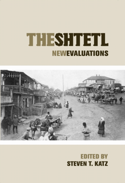 The Shtetl : New Evaluations, Hardback Book
