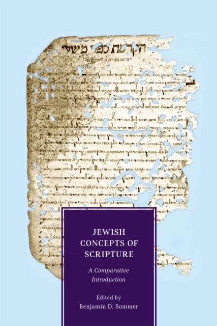 Jewish Concepts of Scripture : A Comparative Introduction, Paperback / softback Book