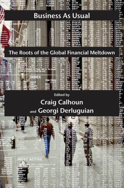 Business as Usual : The Roots of the Global Financial Meltdown, Paperback / softback Book