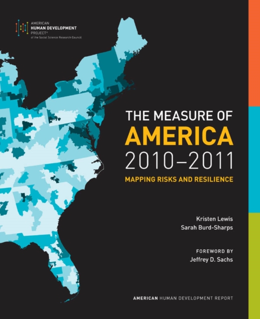 The Measure of America, 2010-2011 : Mapping Risks and Resilience, Paperback / softback Book