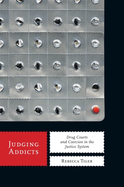 Judging Addicts : Drug Courts and Coercion in the Justice System, EPUB eBook