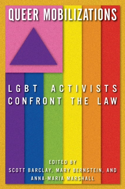 Queer Mobilizations : LGBT Activists Confront the Law, Hardback Book