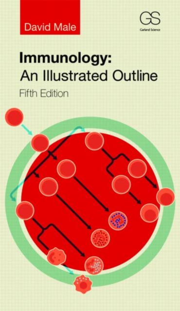 Immunology : An Illustrated Outline, Paperback / softback Book