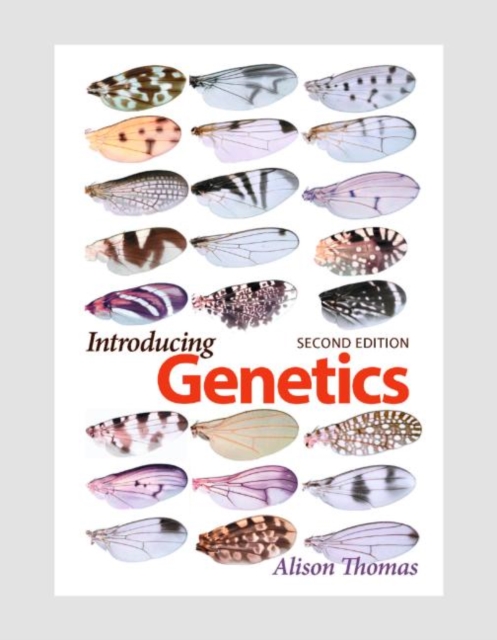 Introducing Genetics : From Mendel to Molecules, Paperback / softback Book