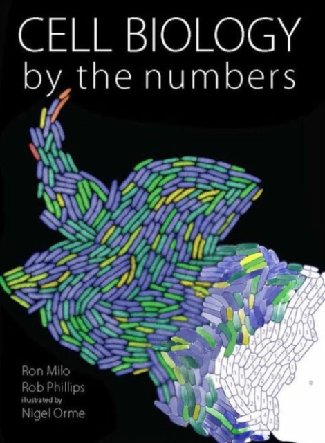Cell Biology by the Numbers, Paperback / softback Book
