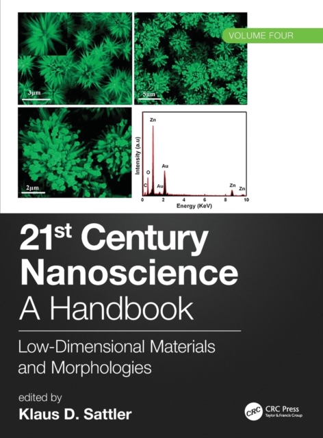 21st Century Nanoscience – A Handbook : Low-Dimensional Materials and Morphologies (Volume Four), Hardback Book